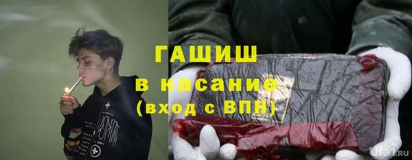 гашик Алексеевка