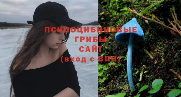 PSILOCYBIN Абаза