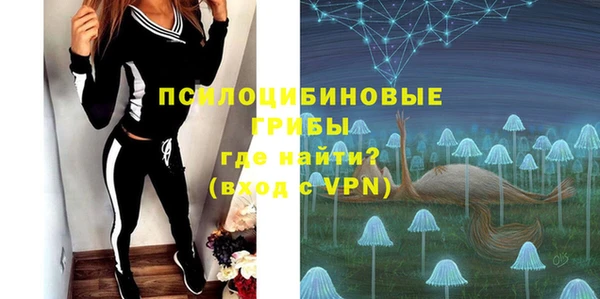тгк Алексин